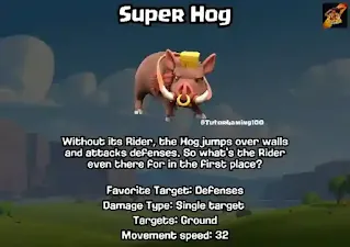 Super Hog info Super Hog info